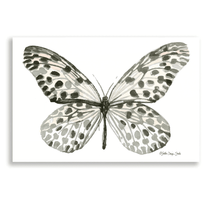 Butterfly 3' by Stellar Design Studio Canvas Wall Art Decor