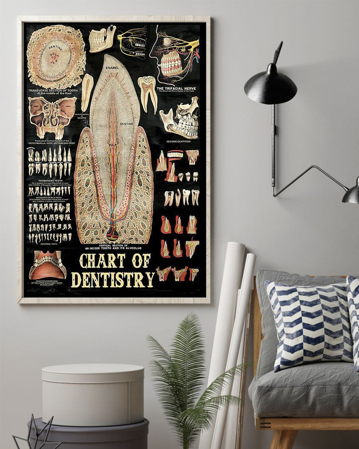 Professions Poster - Dentist Chart Of Dentistry Vertical Canvas - Wall Decor Visual Art