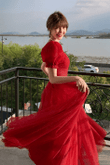 Beautiful Red Short Sleeves Tulle Prom Dress Party Dress, Red Evening Gown Formal Dresses
