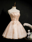 Light Champagne Tulle Short with Lace Party Dress, Homecoming Dress 2022