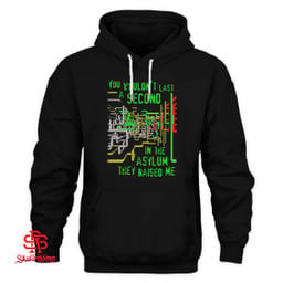 You Wouldn't Last A Second In The Asylum They Raised Me T-Shirt and Hoodie