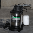 Wayne 3/4 HP Submersible Cast Iron And Stainless Steel Sump Pump