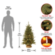 National Tree Company Pre-lit Artificial Mini Christmas Tree, Green
