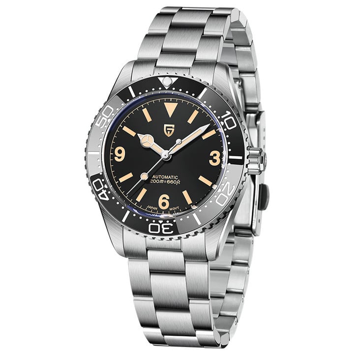 PAGANI DESIGN Men's Automatic Watches 40e Glass AR CoateMM Stainless Steel Mechanical Wristwatches Sapphird Watches 10bar Waterproof 1755