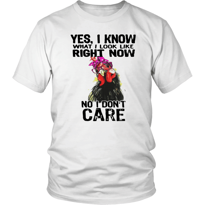 Hen yes I know what I look like right now no I don’t care shirt