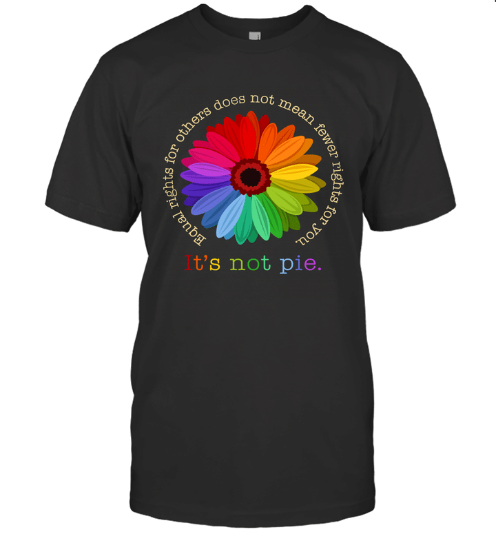 Equal Rights For Others Does Not Mean Fewer Rights For You It's Not Pie Shirt