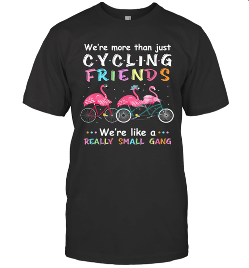 Flamingo We're More Than Cycling Friends We're Like A Really Small Gang Shirt