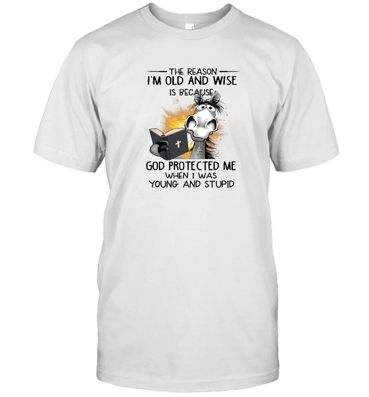 Horse The Reason I'm Old And Wise Is Because God Protected Me When I Was Young And Stupid Shirt