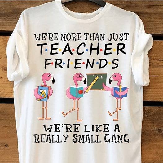 Flamingo teacher friends we're more than just we're like a really small gang T shirt hoodie sweater  size S-5XL
