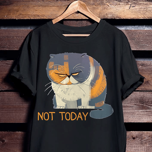 Cat lover not today T Shirt Hoodie Sweater  size S-5XL
