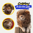 Cute Lion Mane Cat Wig Cosplay