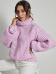 Women Solid Turtleneck Drop Shoulder Sweater