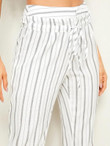 Drawstring Waist Striped Pants