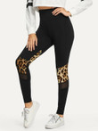 Contrast Mesh Leopard Print Leggings