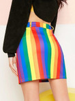 Zip Up Rainbow Striped Skirt Without Belt