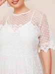 Women Plus Size Guipure Lace Trim Dobby Mesh Dress