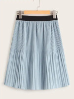 Elastic Waist A-Line Pleated Skirt