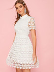Collared Guipure Lace Overlay Flared Dress