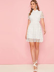 Collared Guipure Lace Overlay Flared Dress