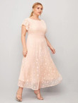 Women Plus Size Ruffle Trim Lace Overlay Dress