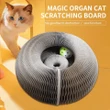 Magic Collapsible Folding Cat Scratch Board Lounge Bed