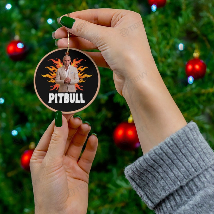 Pitbull Pit Bull Singer Merry Christmas Holiday Christmas Tree Xmas Gift Santa Claus Ceramic Circle Ornament