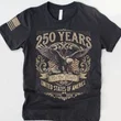 250th America Anniversary Flag Print Sleeve T-shirt, US 250 Years Shirt, We The People Tee, Vintage Independence Day, Patriotic Tee with USA Flag Two Sided Unisex T Shirt, Sweatshirt, Hoodie