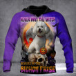 Never Mind The Witch Beware Of The Bichon Frise Hoodie Dog Themed Cute Halloween Clothing Gift