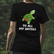 Turtle To All My Haters Shirt Funny Turtle Sarcastic T-Shirts Gifts For Cousin