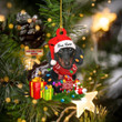 Personalized Dachshund Ornament 2022 Dachshund Xmas Ornaments Gifts For Pet Lovers