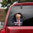 Trump 2024 Not Guilty Car Sticker Donald Trump Mug Shots Bumper Stickers Gifts For Republicans
