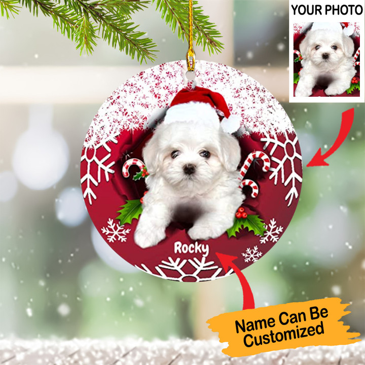 Personalized Image Maltese Christmas Ornament Pet Lover Xmas Tree Decorations Ideas