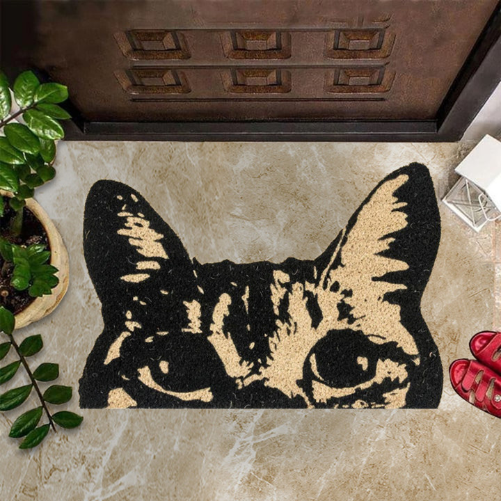 Cat Doormat Cat Lover Best Front Door Mats House Decoration Gifts