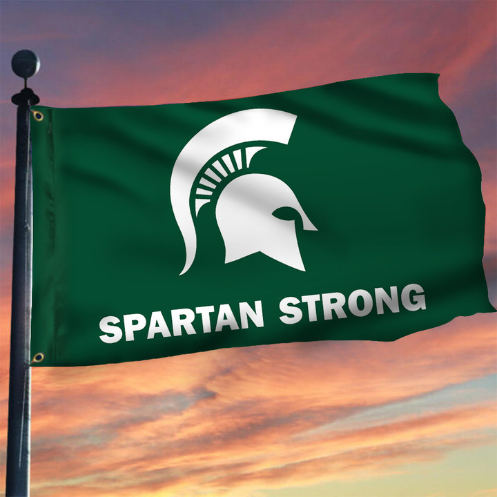 Spartan Strong Flag Stand Spartan Strong Michigan State University MSU Flag Merch