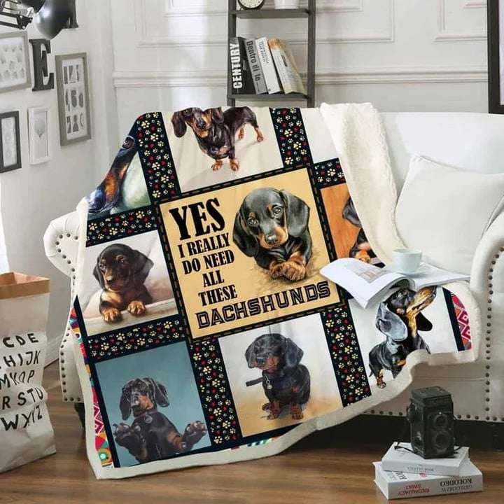 Dachshund Lover Yes i really do need all these dachshunds Premium Comfy Sofa Throw Blanket