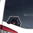 Black Pomeranian Spitz Car Decal