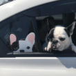 Black L Pied French Bulldog Car Window Sticker Decal