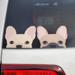 Cream French Bulldog Car Window Sticker Decal