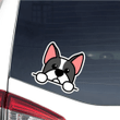 Custom Boston Terrier Car Window Laptop Bottle Sticker Decal