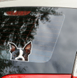 Peeking Boston Terrier Car Window Laptop Bottle Sticker Decal