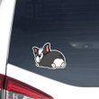 Lazy Boston Terrier Butt Car Window Laptop Bottle Sticker Decal