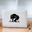 Peeking Black White Dachshund Dog Car Window Laptop Bottle Sticker Decal