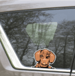 Peeking Brown Dachshund Dog Car Window Laptop Bottle Sticker Decal