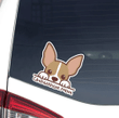 Custom Beige Peeking Chihuahua Dog Car Window Laptop Bottle Sticker Decal