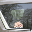 Custom Cream Pomeranian Spitz Car Window Laptop Bottle Sticker Decal