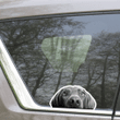 Real Black Labrador Dog Head Looking Out Bumper Car Window Laptop Bottle Sticker Decal