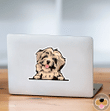 Gold Havanese Dog Car Window Laptop Bottle Sticker Decal