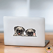 Two Pugs Dog Car Window Laptop Bottle Sticker Decal