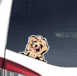 Red Havanese Dog Car Window Laptop Bottle Sticker Decal