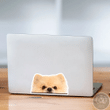 Pomeranian Spitz Car Window Laptop Bottle Sticker Decal